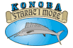 Starac i more