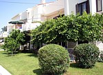 Apartments Erika, Apartments Novalja ,Island Pag, Croatia